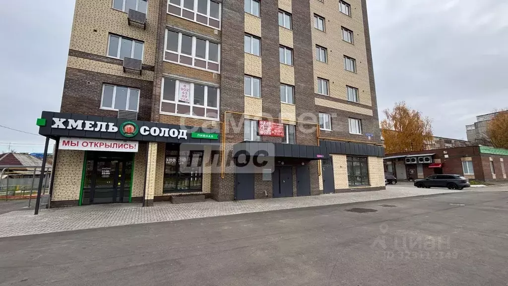 Торговая площадь в Марий Эл, Йошкар-Ола ул. Ползунова, 23А (58 м) - Фото 1