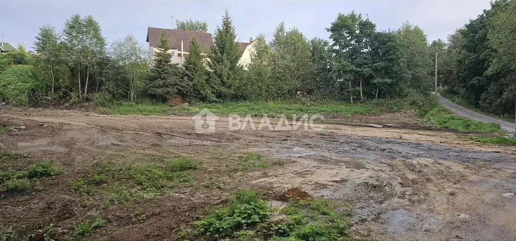 Участок в Ленинградская область, Всеволожский район, Куйвозовское ... - Фото 1