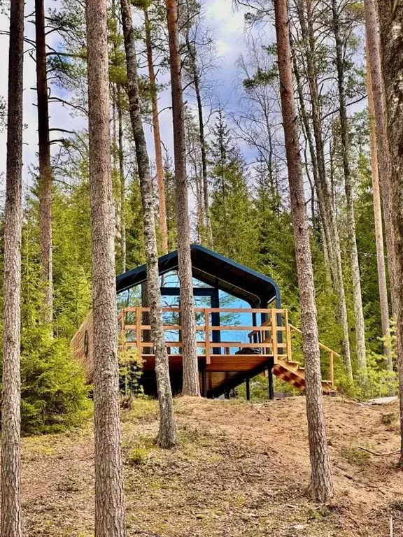 Дом в Курская область, Касторенский район, с. Орехово  (35 м) - Фото 0