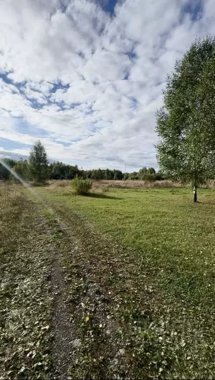 Участок в Пермский край, Краснокамский муниципальный округ, пос. ... - Фото 1