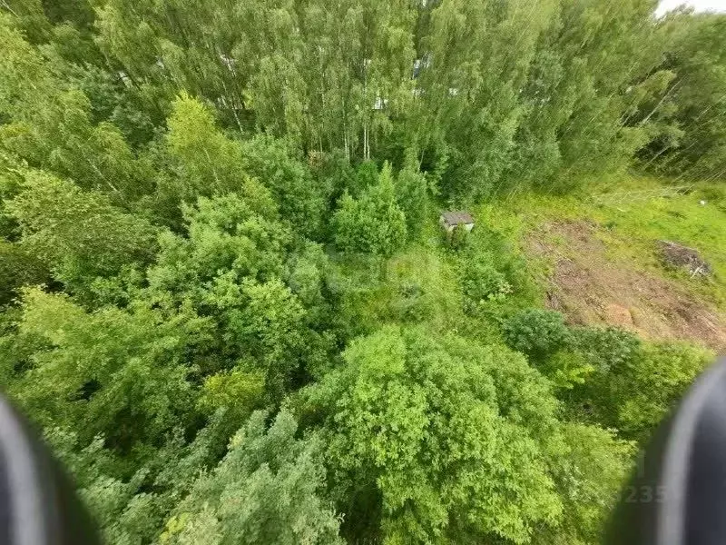 Участок в Калужская область, Калуга городской округ, д. Лихун ул. 1-я ... - Фото 1