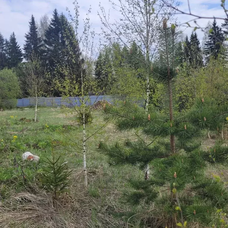 Участок в Московская область, Мытищи городской округ, д. Лысково ул. ... - Фото 1