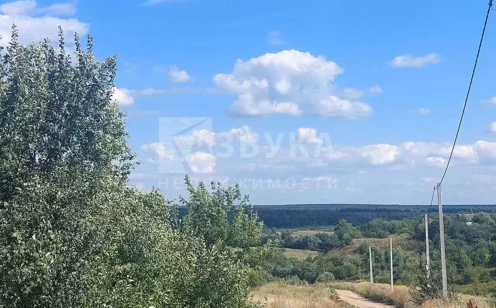 Участок в Воронежская область, Рамонский район, с. Березово ... - Фото 0