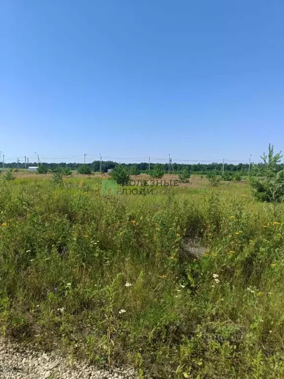 Участок в Тамбовская область, Котовск ул. Полевая, 10 (10.0 сот.) - Фото 1