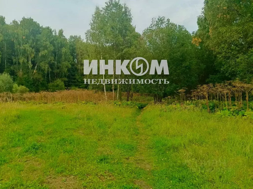 Участок в Москва № 11 кв-л,  (225.0 сот.) - Фото 2