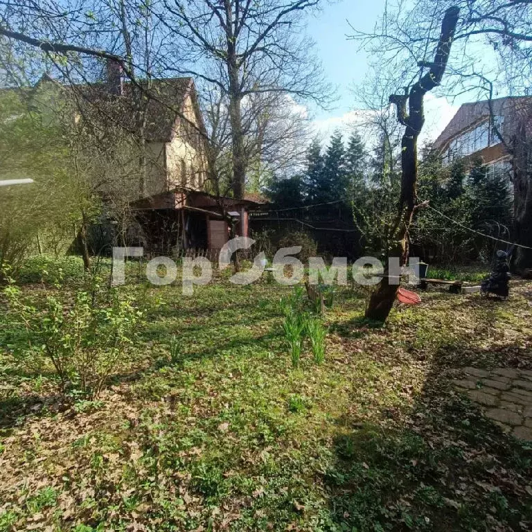 Продается участок в с. Дубки - Фото 1