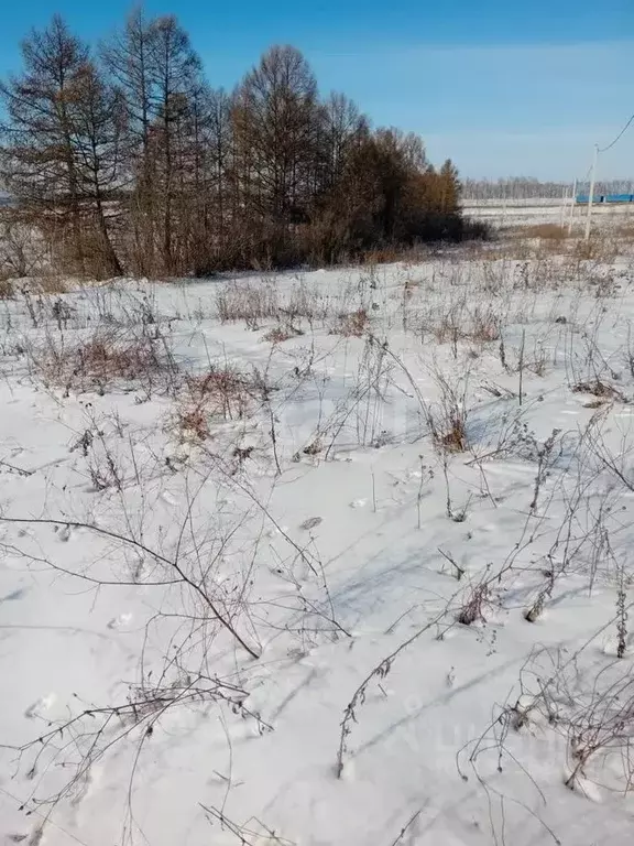 Участок в Белгородская область, Бирюч Красногвардейский район, ул. ... - Фото 1