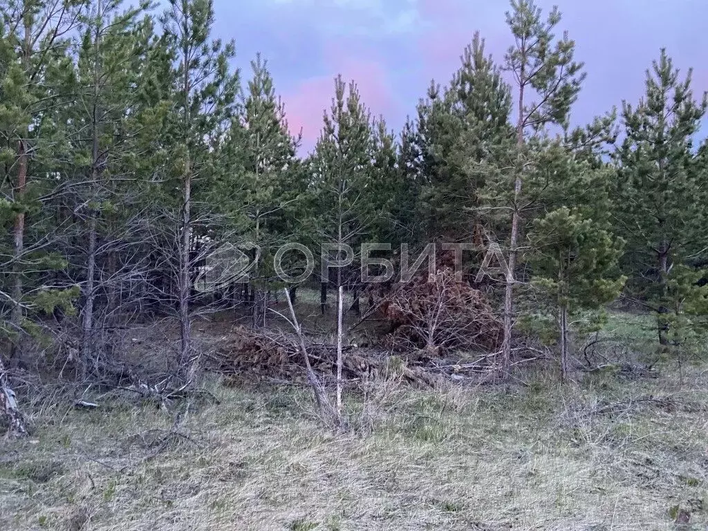 Участок в Свердловская область, Тугулым пгт  (16.0 сот.) - Фото 2