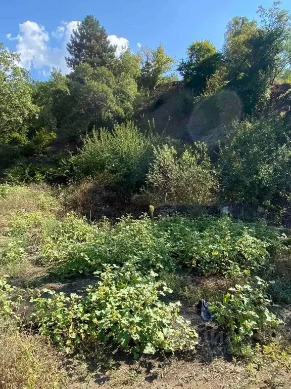 Участок в Крым, Ялта ул. Белобродского, 11 (10.0 сот.) - Фото 1