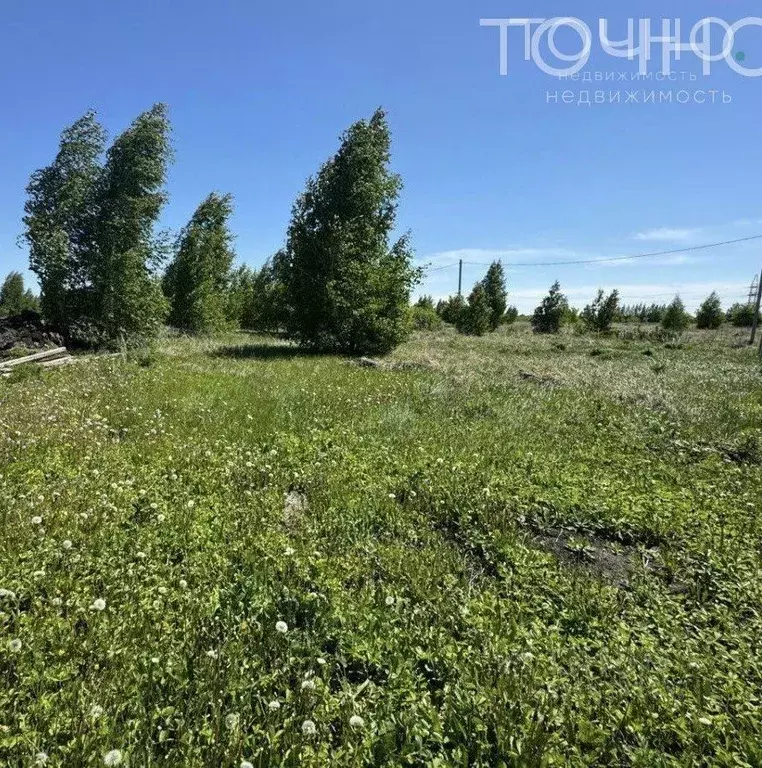 Участок в Пензенская область, Пенза ул. Молодежная (6.0 сот.) - Фото 0
