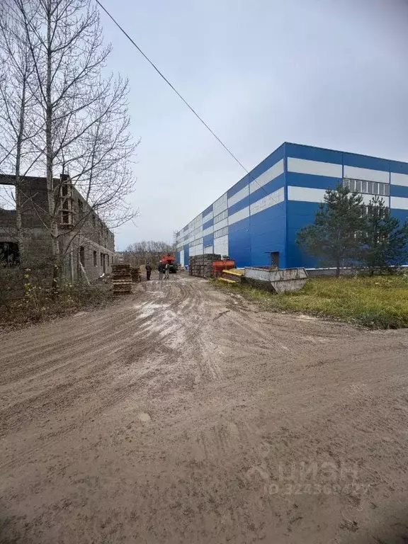 Помещение свободного назначения в Московская область, Домодедово Белые ... - Фото 2