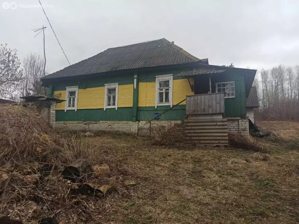 Дом в деревня Сельцо, Речная улица, 29 (47.2 м) - Фото 0