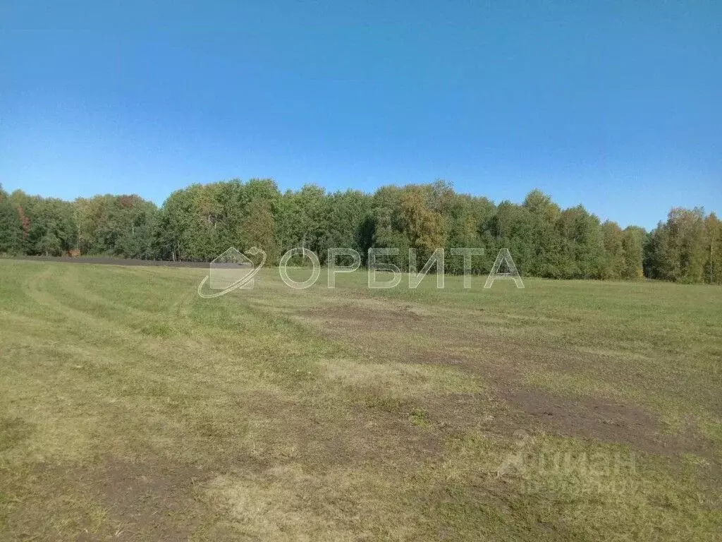 Участок в Тюменская область, Тюменский район, д. Зырянка  (304.0 сот.) - Фото 0