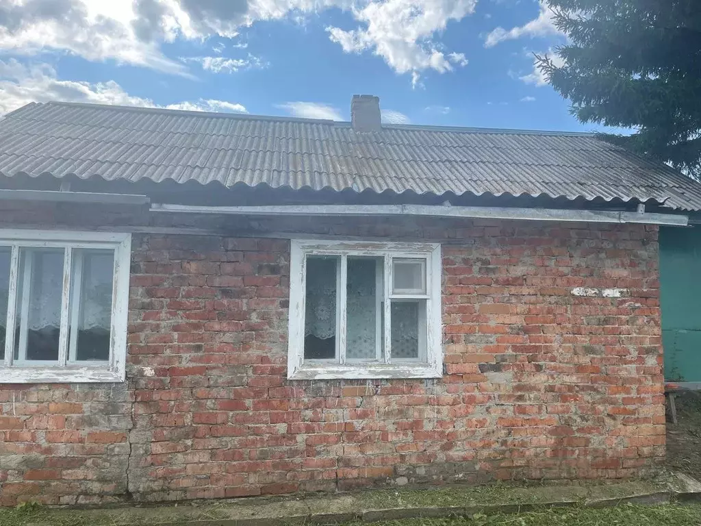 Дом в Омская область, Шербакульский район, с. Александровское  (66 м) - Фото 1