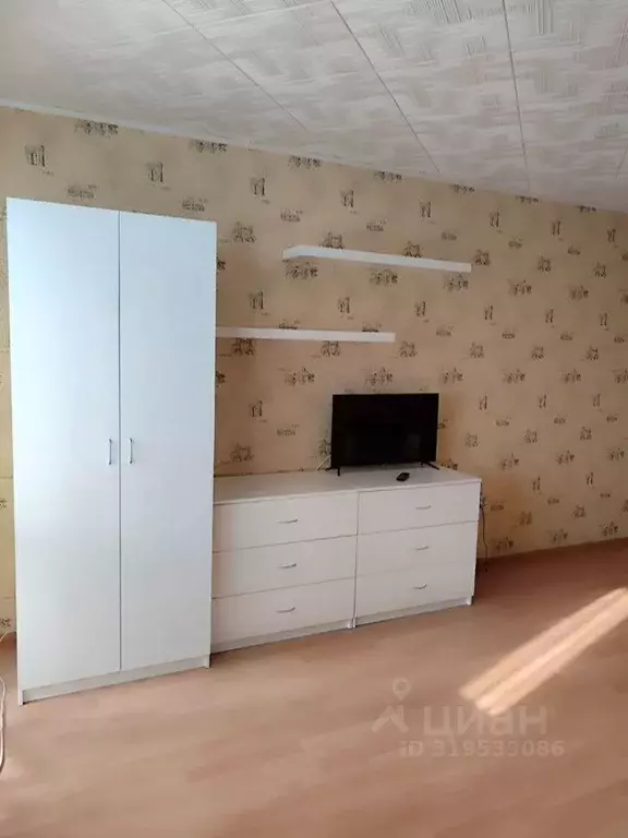 Студия Новосибирская область, Новосибирск Троллейная ул., 1 (28.0 м) - Фото 0