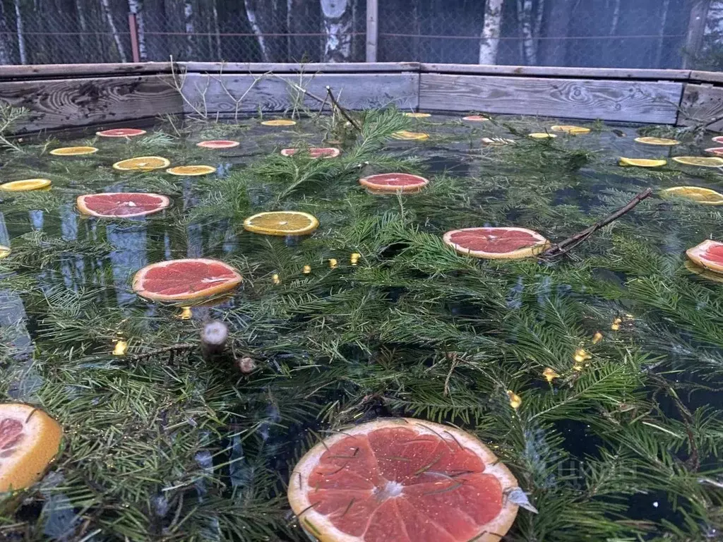 Дом в Московская область, Богородский городской округ, Тимковские ... - Фото 2