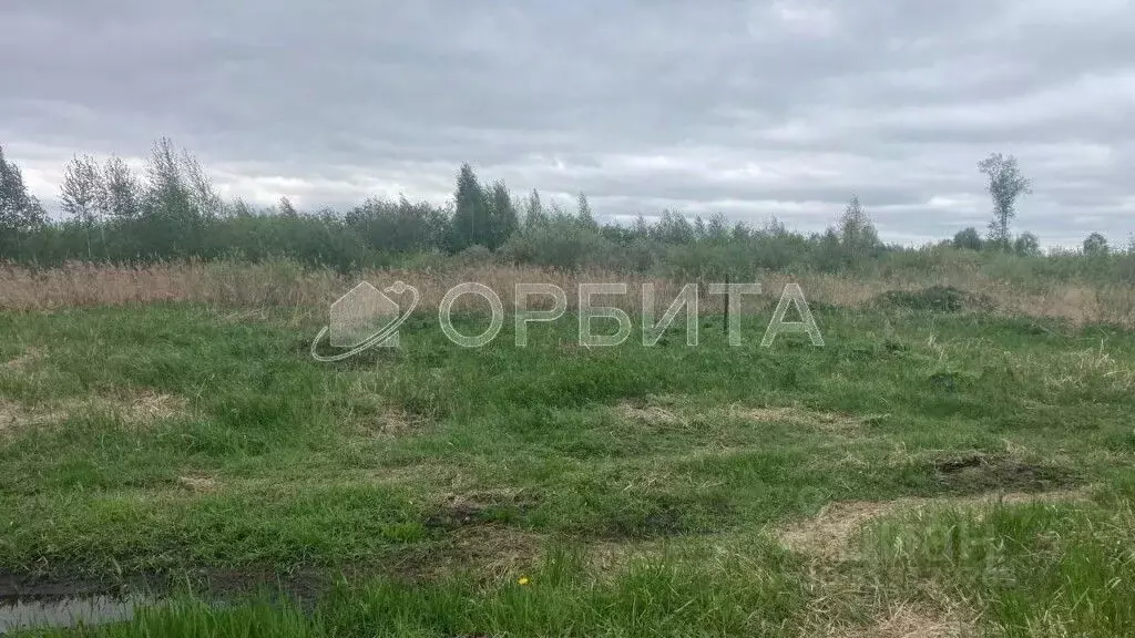 Участок в Тюменская область, Тюмень Большое Царево-3 ОНТ,  (10.0 сот.) - Фото 1