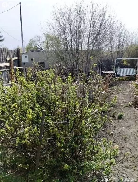 Участок в Курганская область, Кетовский муниципальный округ, село ... - Фото 2