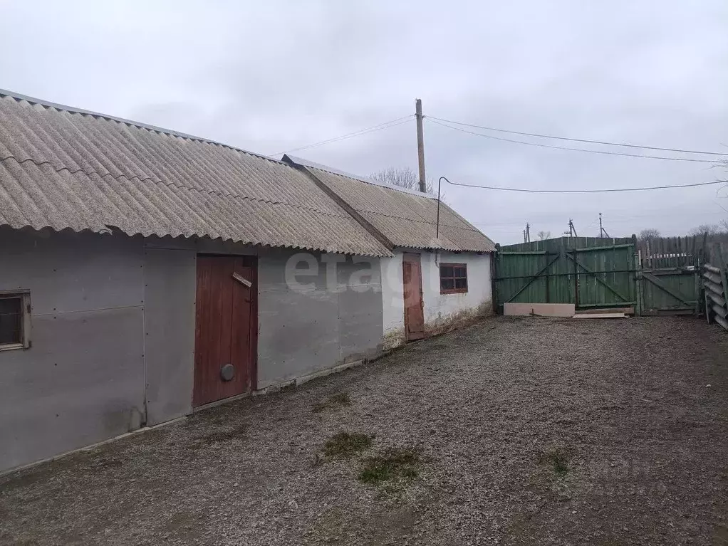 Дом в Белгородская область, Вейделевка рп ул. Колхозная, 81 (35 м) - Фото 1