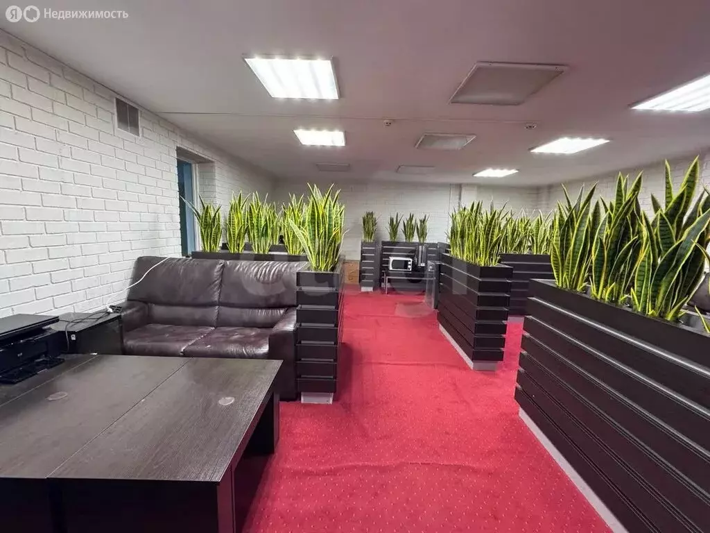 Торговая площадь (110 м) - Фото 1