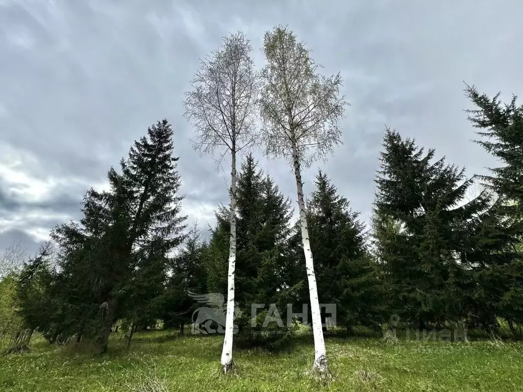 Участок в Ленинградская область, Тосненский район, Рябовское городское ... - Фото 0