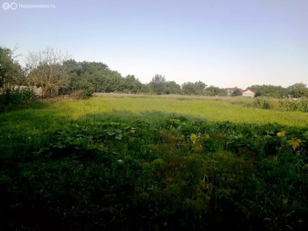 Участок в Александровка, Советская улица (14 м) - Фото 0