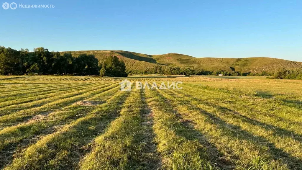 Участок в деревня Рязановка, Центральная улица, 278 (8 м) - Фото 2