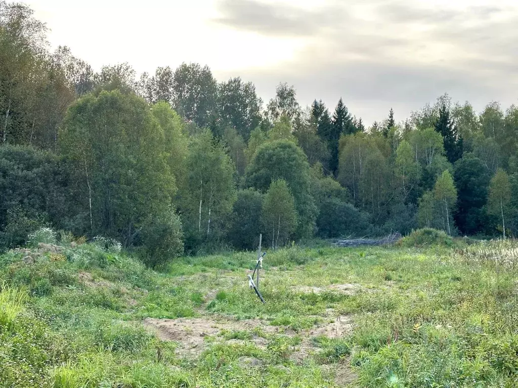 Участок в Московская область, Истра городской округ, СНТ Надежда-2 ... - Фото 0