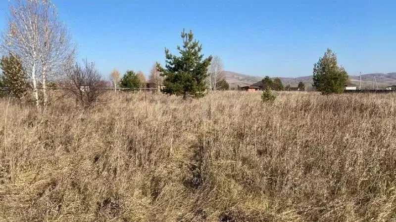 Участок в Алтай, Майминский район, с. Подгорное ул. Прибрежная (20.0 ... - Фото 1