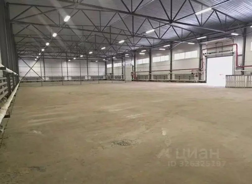 Производственное помещение в Ленинградская область, Кудрово г. ... - Фото 2