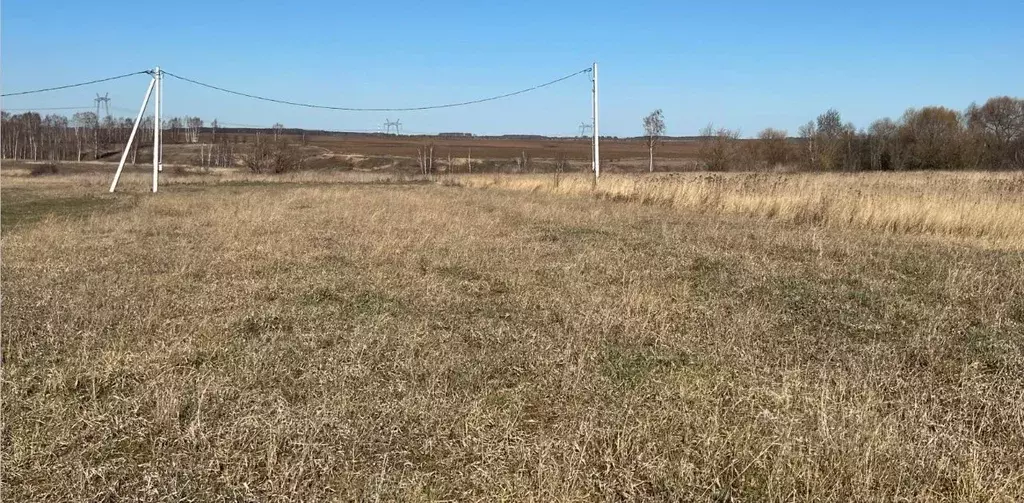 Участок в Московская область, Кашира городской округ, д. Никулино  ... - Фото 0