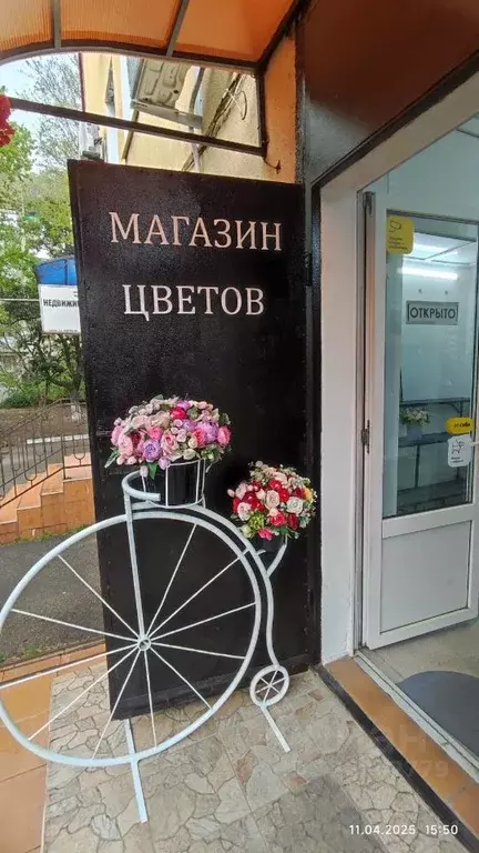 Торговая площадь в Краснодарский край, Туапсе ул. Фрунзе, 55 (31 м) - Фото 1