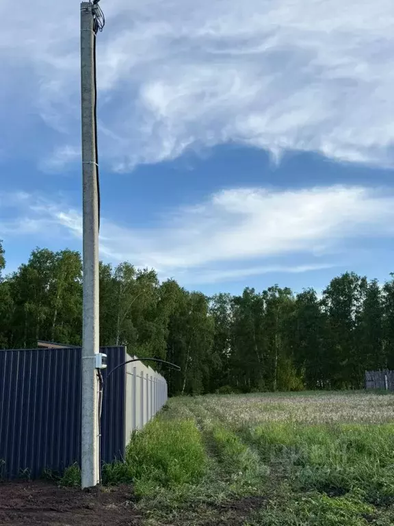 Участок в Алтайский край, Барнаул городской округ, пос. Березовка ул. ... - Фото 0