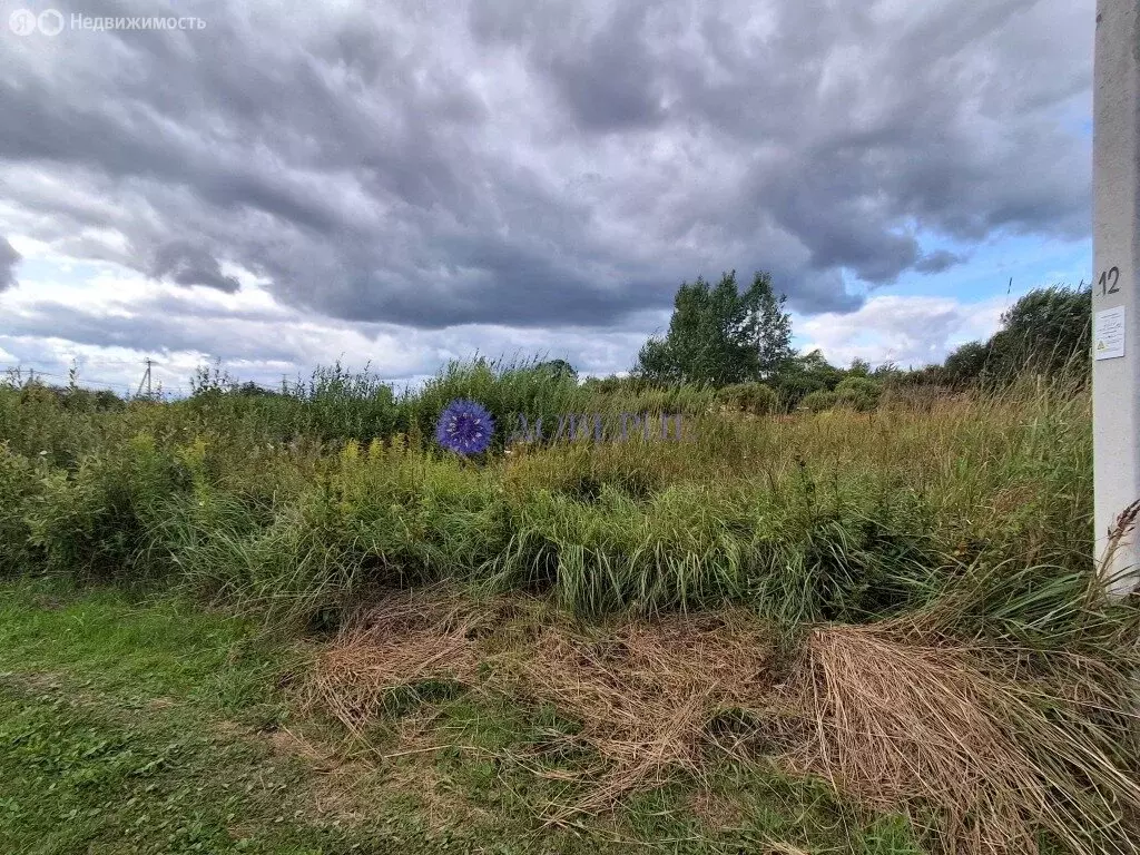 Участок в Ивангород, Луговая улица (4 м) - Фото 2