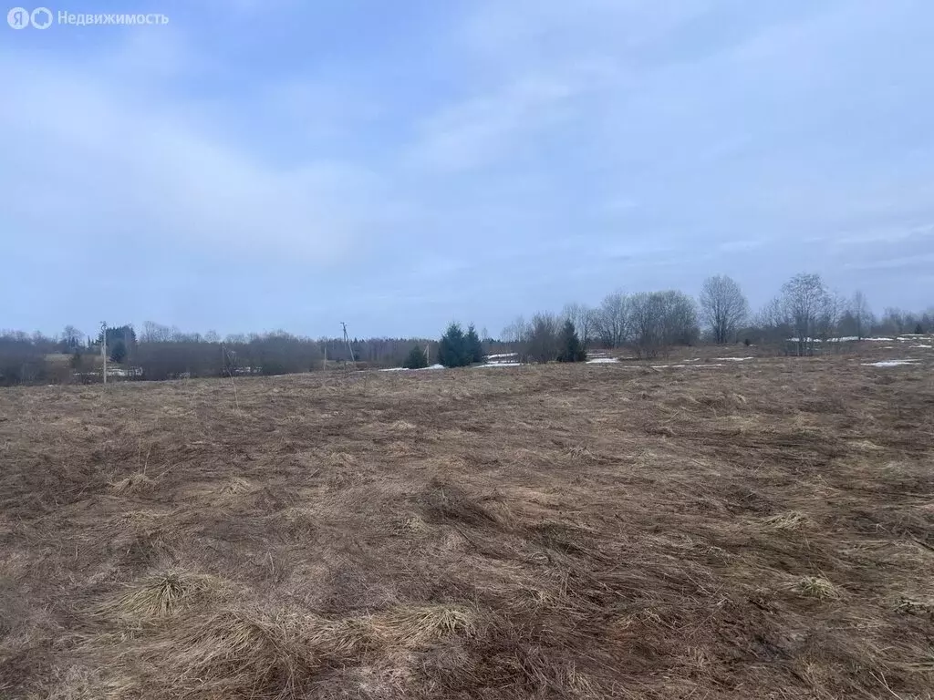 Участок в Вологодский муниципальный округ, деревня Перьево (20.08 м) - Фото 1