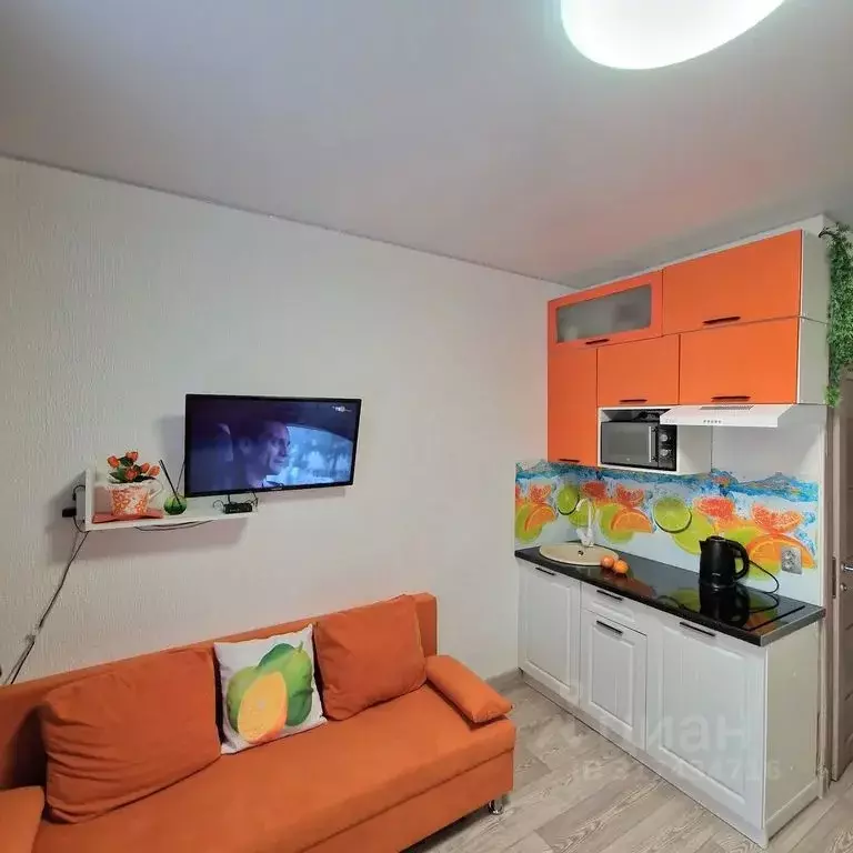 Студия Санкт-Петербург Волковский просп., 28 (18.0 м) - Фото 1