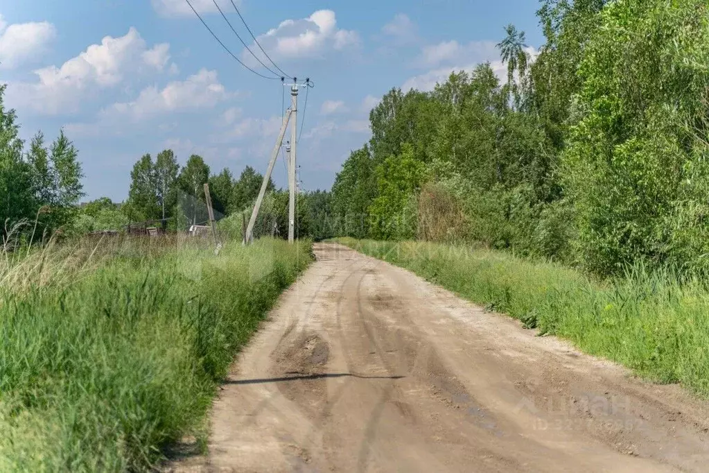 Участок в Тюменская область, Нижнетавдинский муниципальный округ, ... - Фото 1