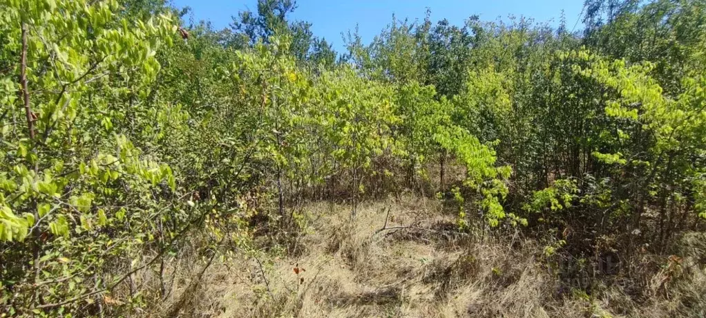 Участок в Краснодарский край, Тимашевск Строитель СОТ, 40 (5.0 сот.) - Фото 2