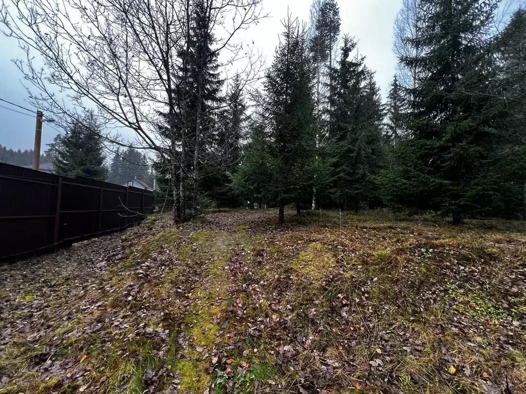 Участок в Ленинградская область, Всеволожский район, Агалатовское ... - Фото 2