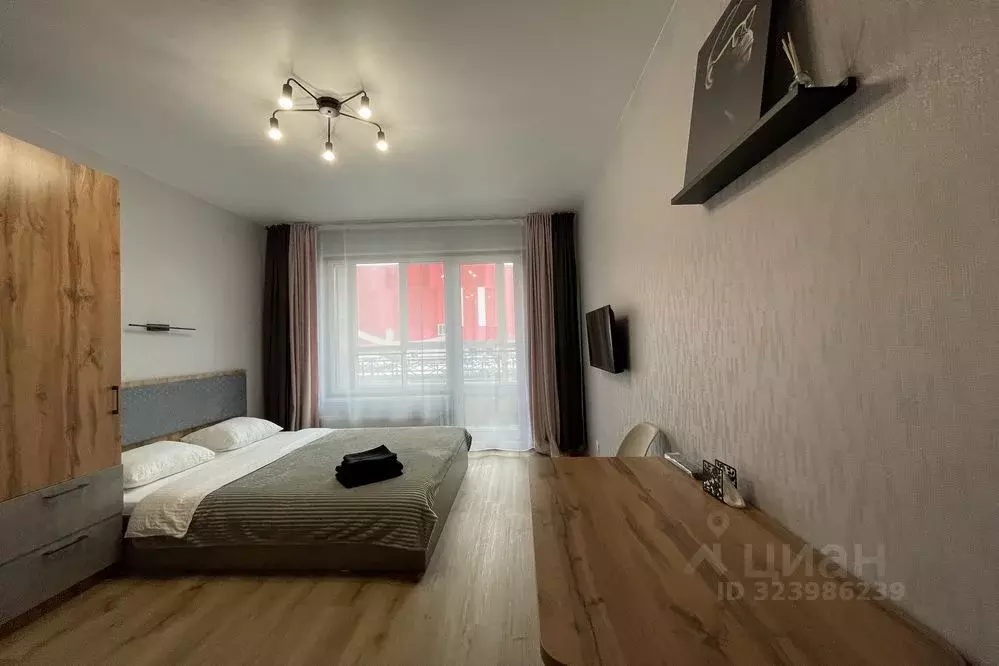 1-к кв. Алтайский край, Барнаул Власихинская ул., 65ак1 (24.0 м) - Фото 1