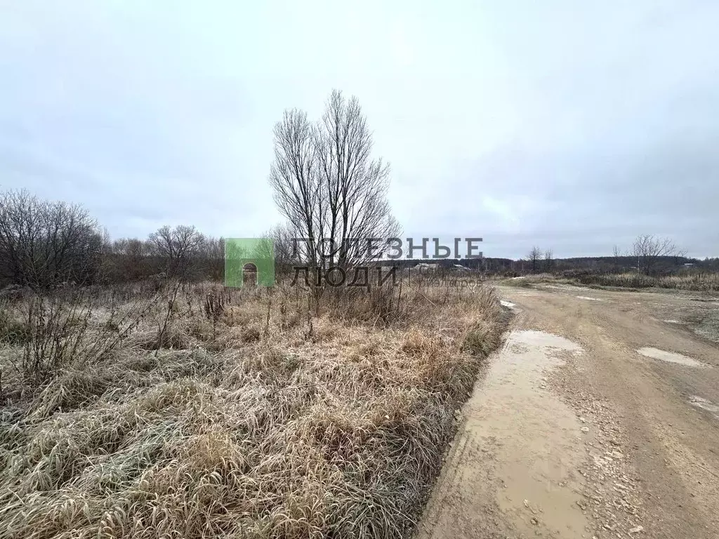 Участок в Орловская область, Орловский муниципальный округ, д. ... - Фото 1