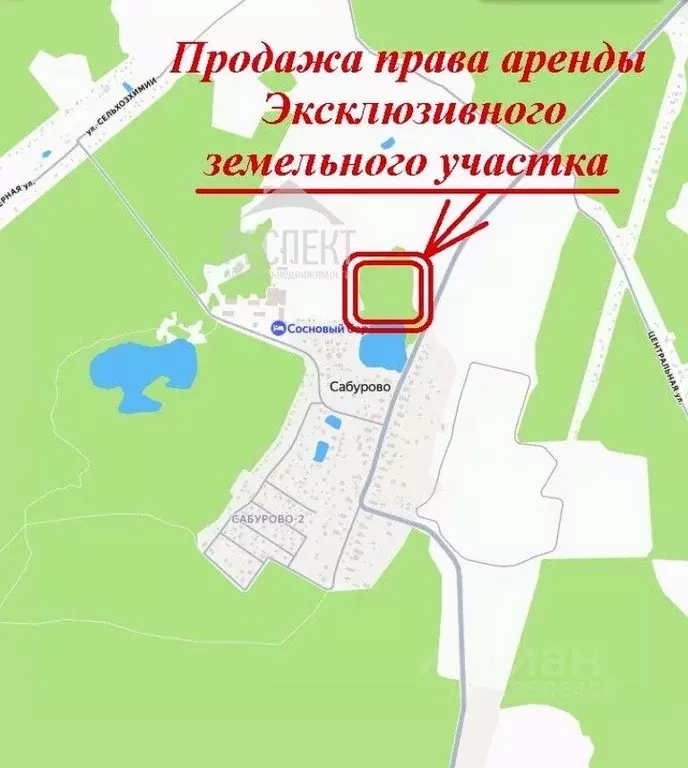 Участок в Московская область, Щелково городской округ, д. Сабурово  ... - Фото 1