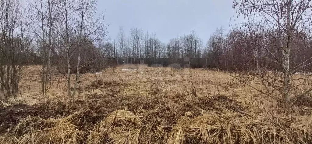 Участок в Вологодская область, Шекснинский муниципальный округ, д. ... - Фото 1