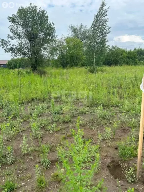 Участок в село Есаулово, микрорайон Лазурные Берега (9.6 м) - Фото 2