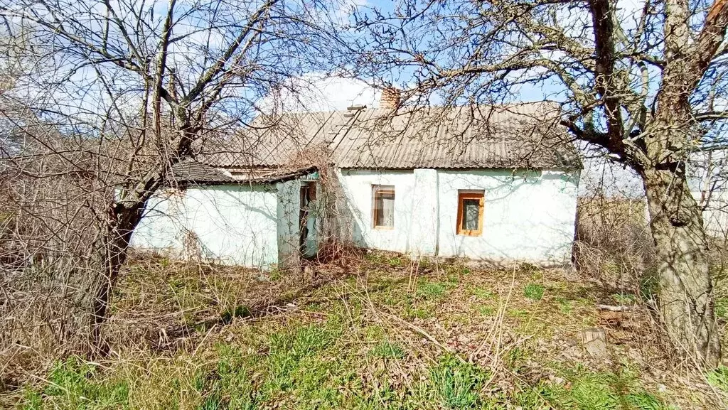 Дом в посёлок совхоза  Нижнедевицкий , Дорожная улица, 9 (30.1 м) - Фото 1