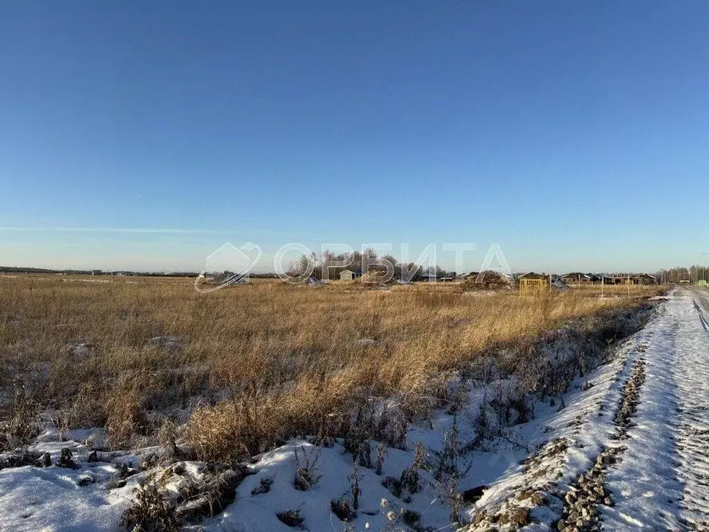 Участок в Тюменская область, Тюменский район, Новокаменский кп  (8.0 ... - Фото 1