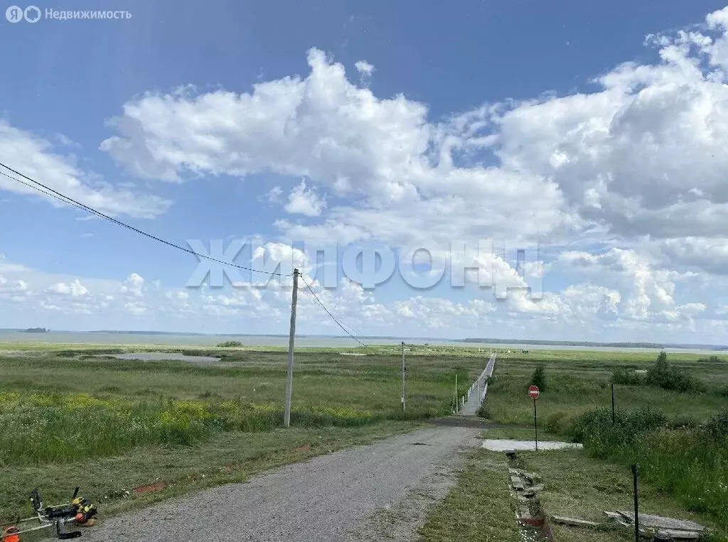 Участок в Новосибирский район, Ярковский сельсовет, СНТ Овражки, 2-я ... - Фото 2