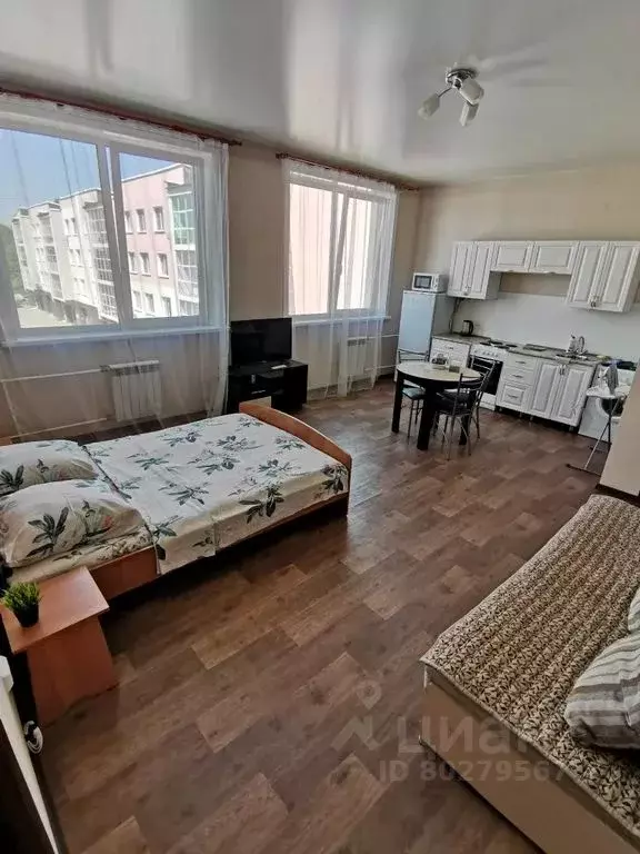 Студия Иркутская область, Иркутск наб. Верхняя, 145/11 (33.0 м) - Фото 0