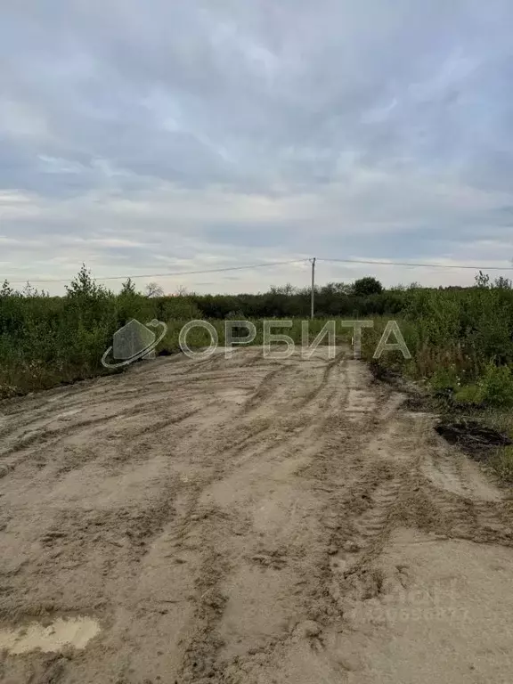 Участок в Тюменская область, Тюменский район, с. Перевалово ул. ... - Фото 1