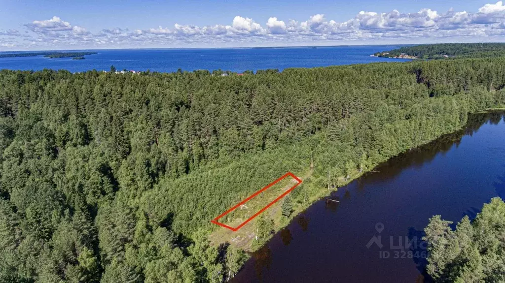 Участок в Карелия, Пряжинский район, Эссойльское с/пос, пос. Сяпся  ... - Фото 2